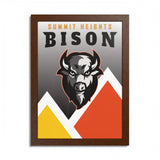 Bison Originals (Bison - Summit) Framed Poster, Multi-Color