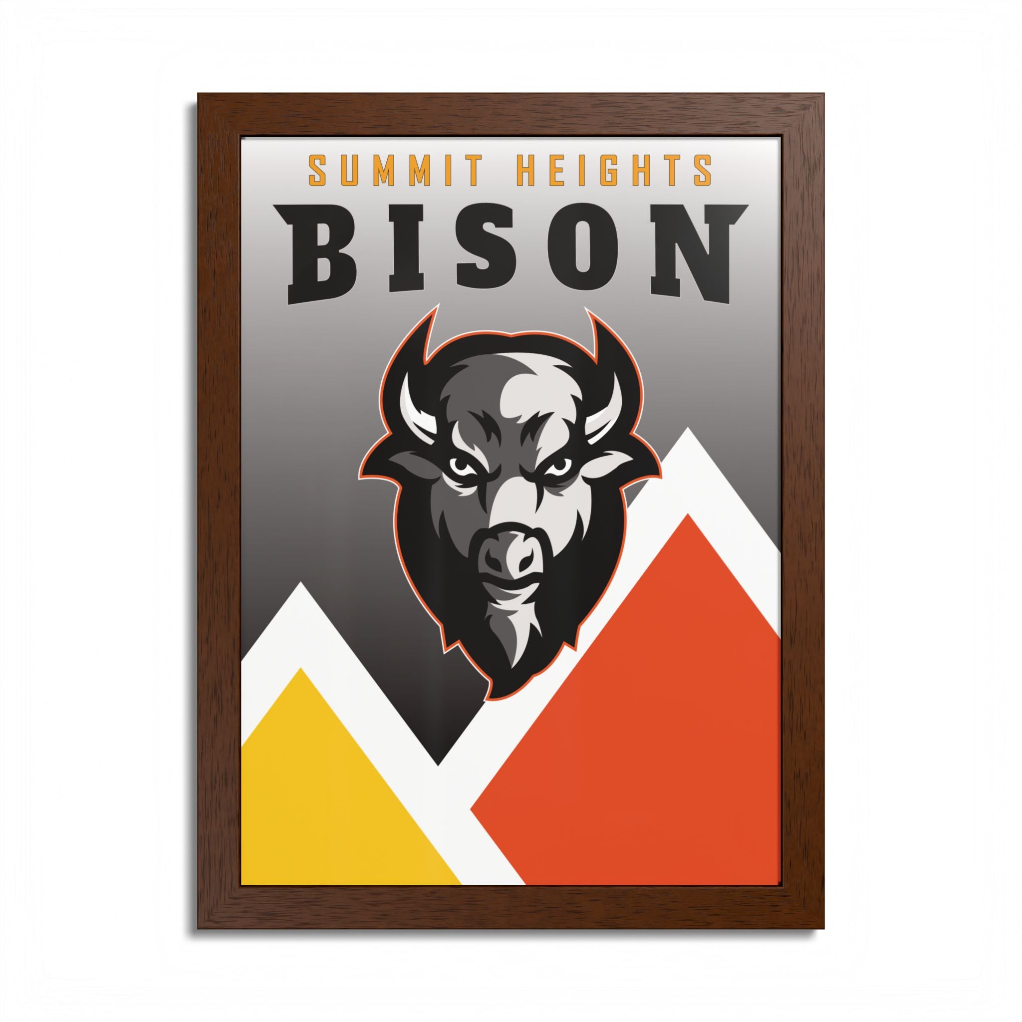 Bison Originals (Bison - Summit) Framed Poster, Multi-Color